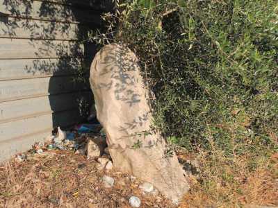 La struttura preistorica barese � nascosta dietro a un ulivo e inghiottita dai rifiuti urbani